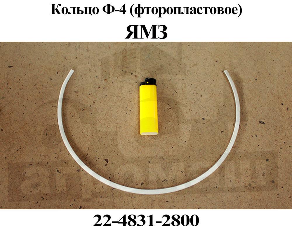 Кольцо фторопластовое маз Кольцо фторопластовое маз